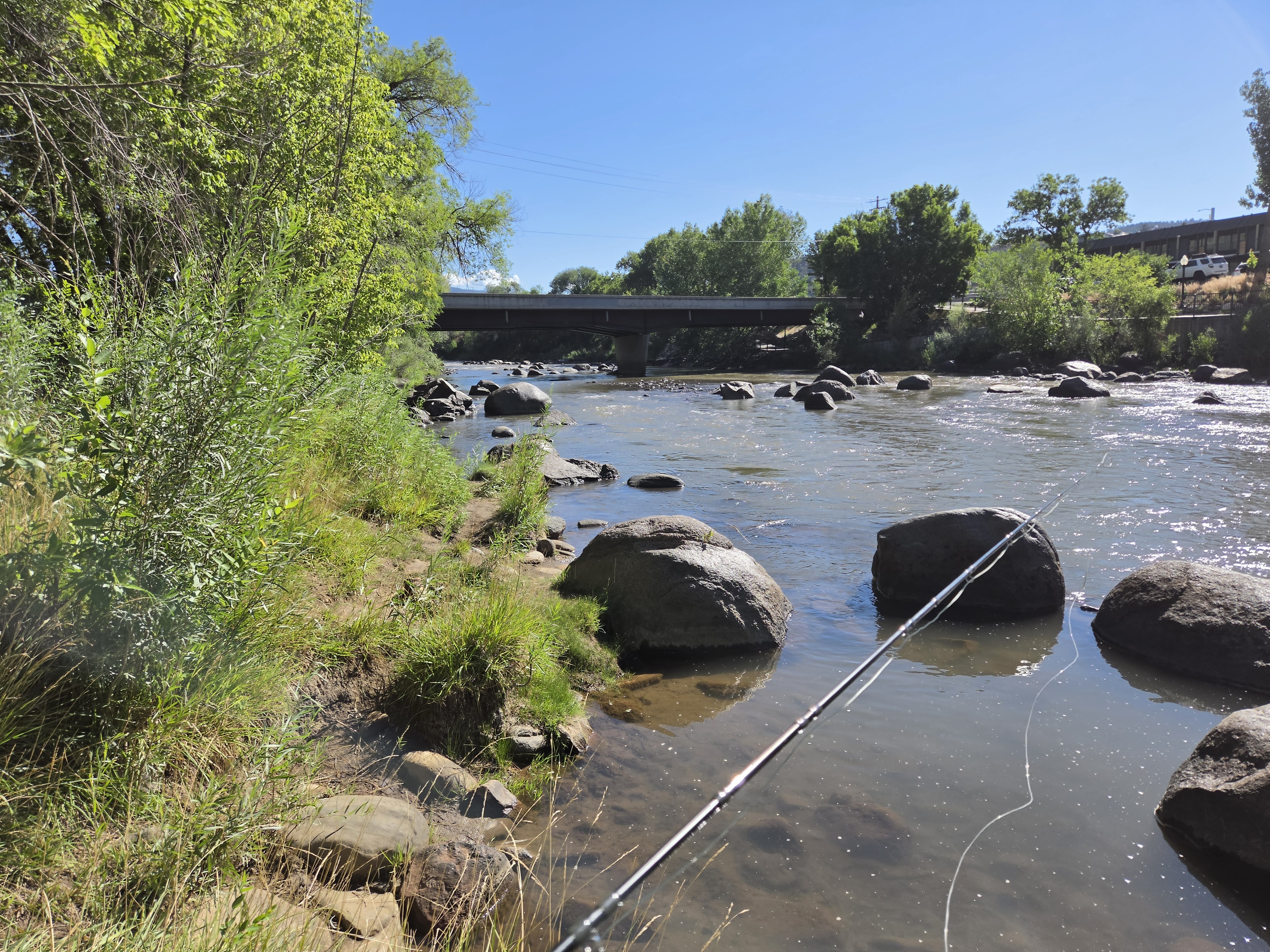 Trout Two Ways: the Animas and Wolf Creek Pass