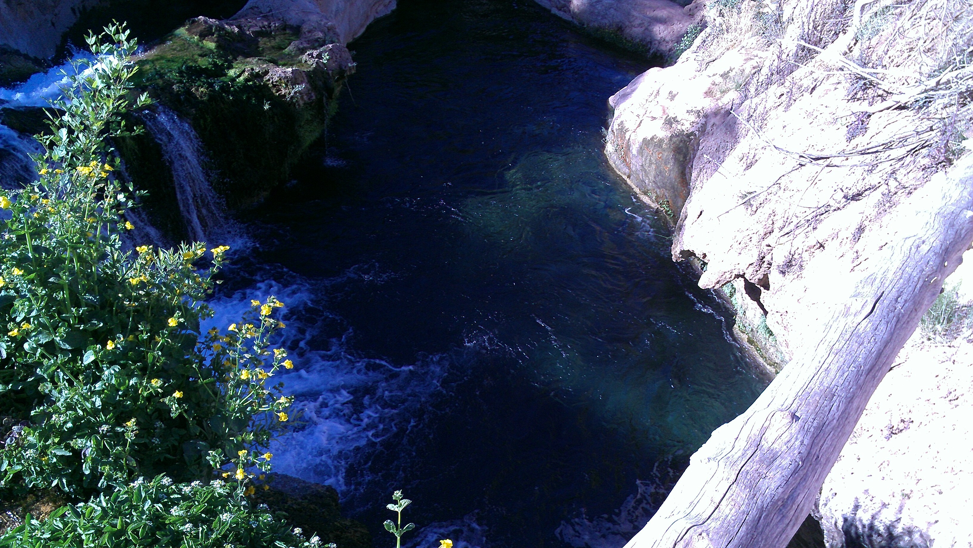 Day trips: Fossil Springs