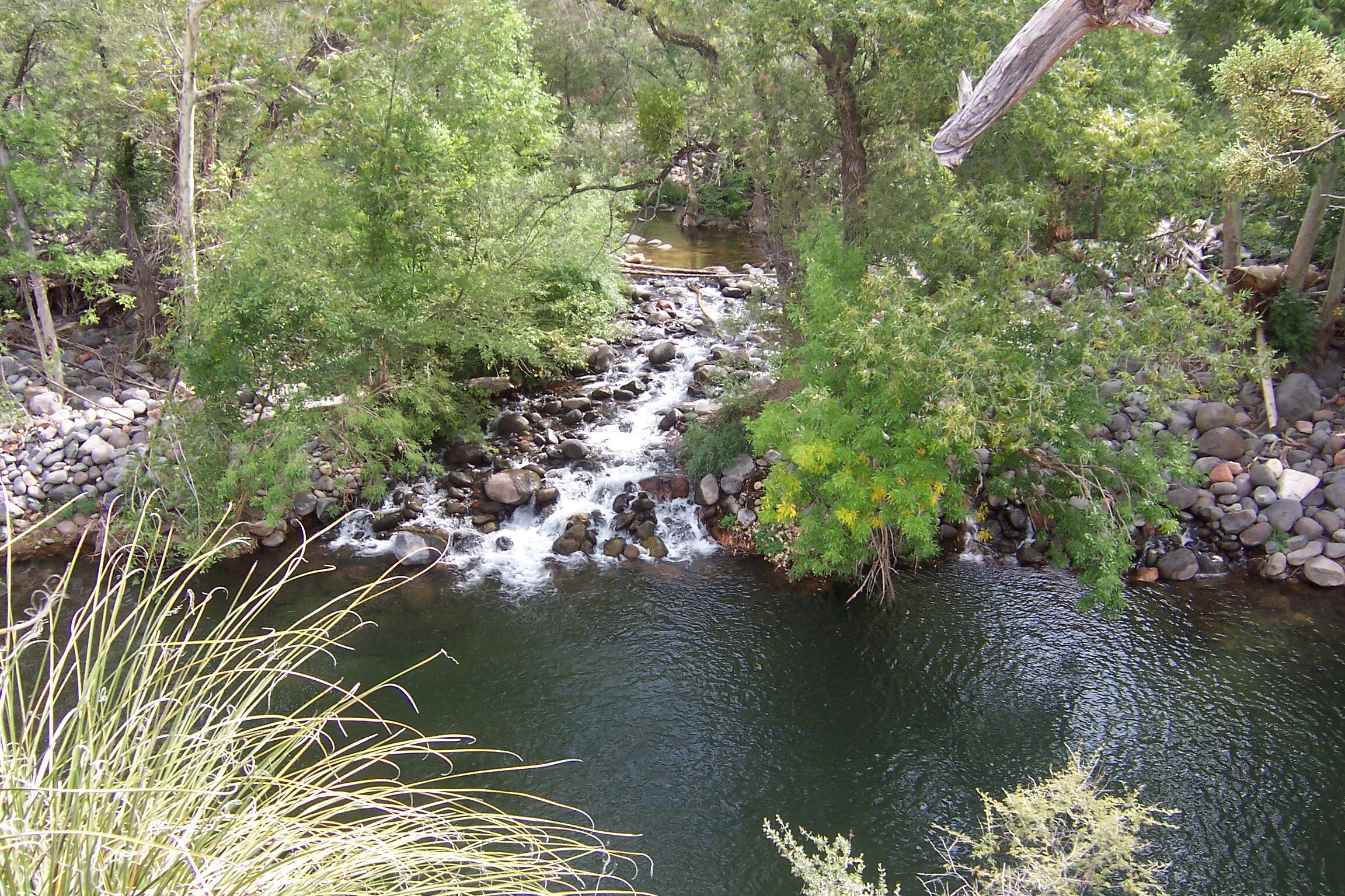 A small cascade flowing over rocks into a clear pool, lush riparian growth on both sides