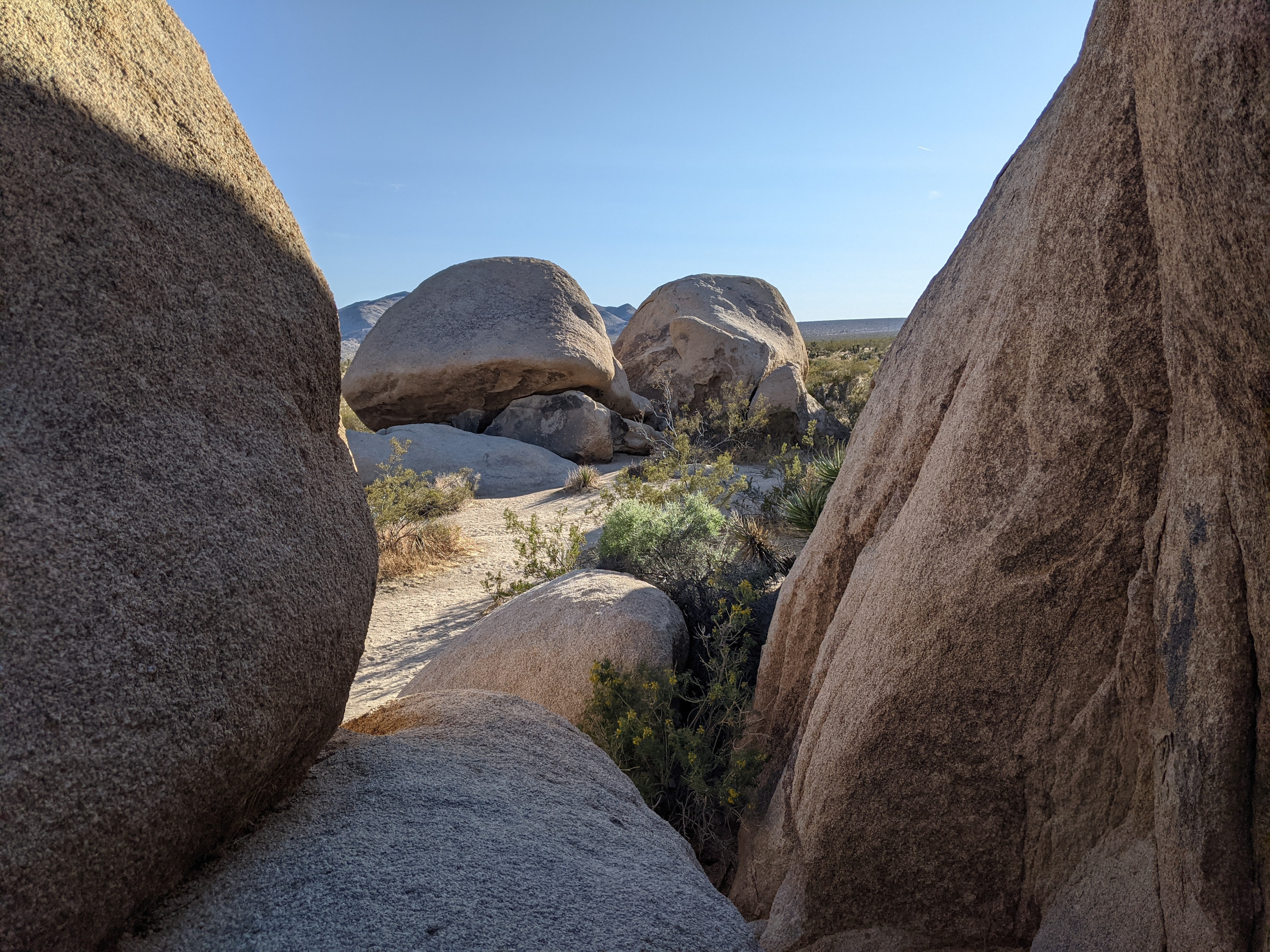 Granite boulders framing the trail, classic Joshua Tree formation
