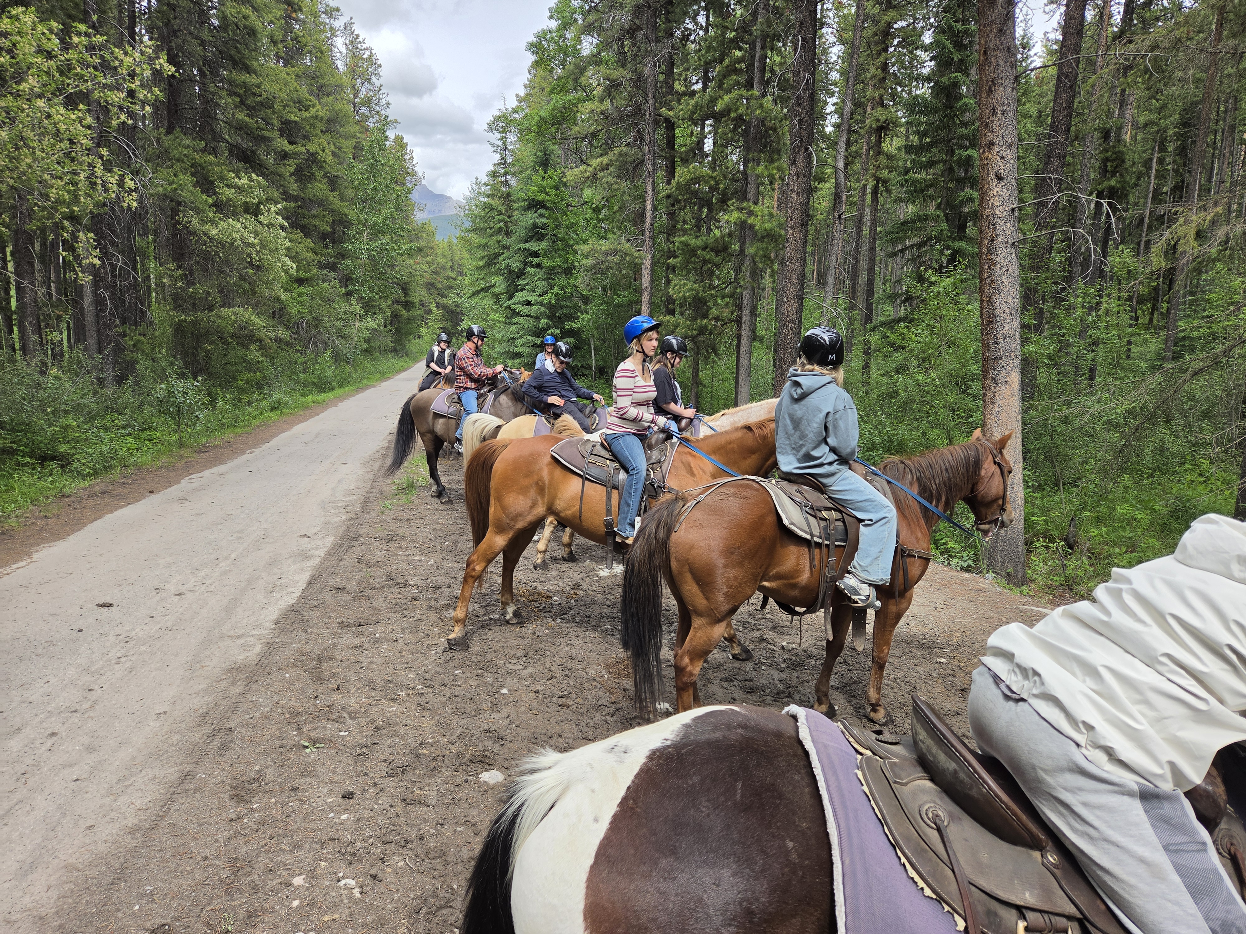 A line of riders strung out along a forest trail, horses nose-to-tail under tall spruce