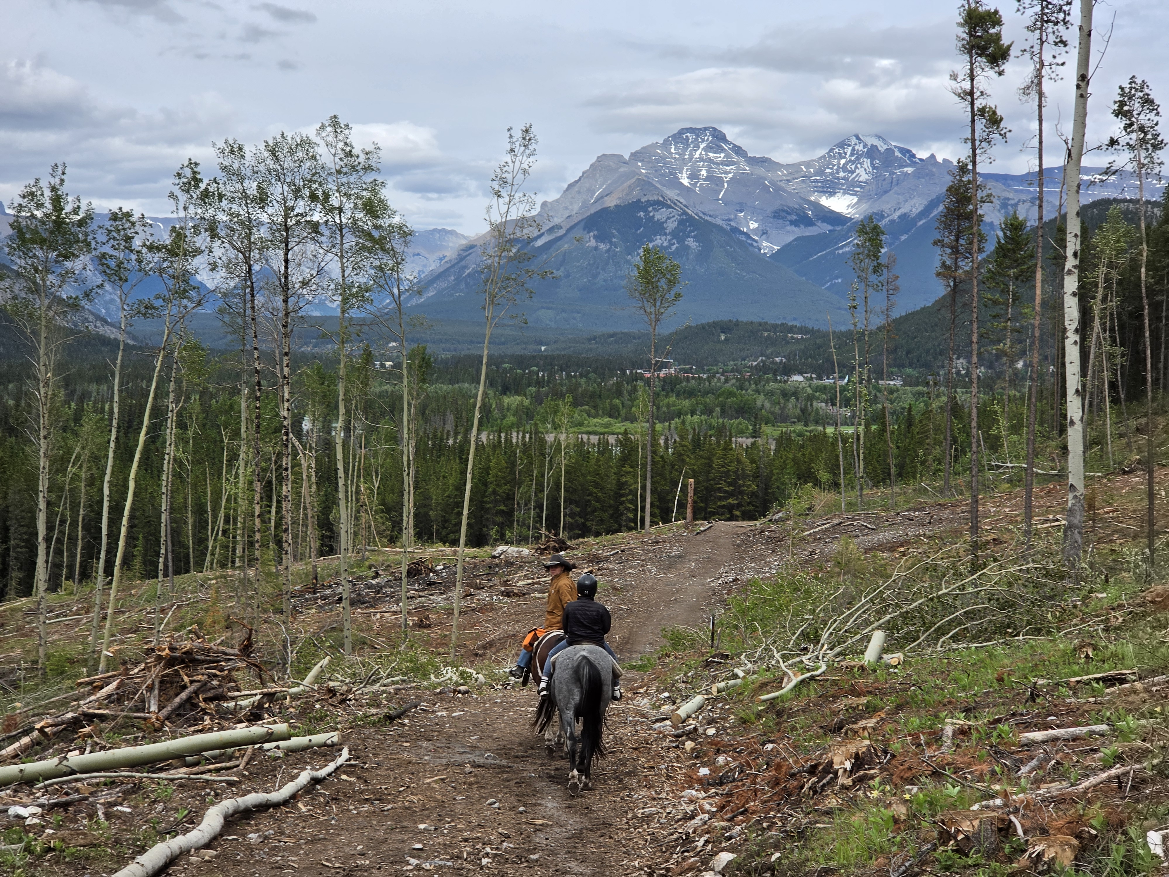 A rider crossing an open meadow on horseback, mountains in the distance under a soft sky