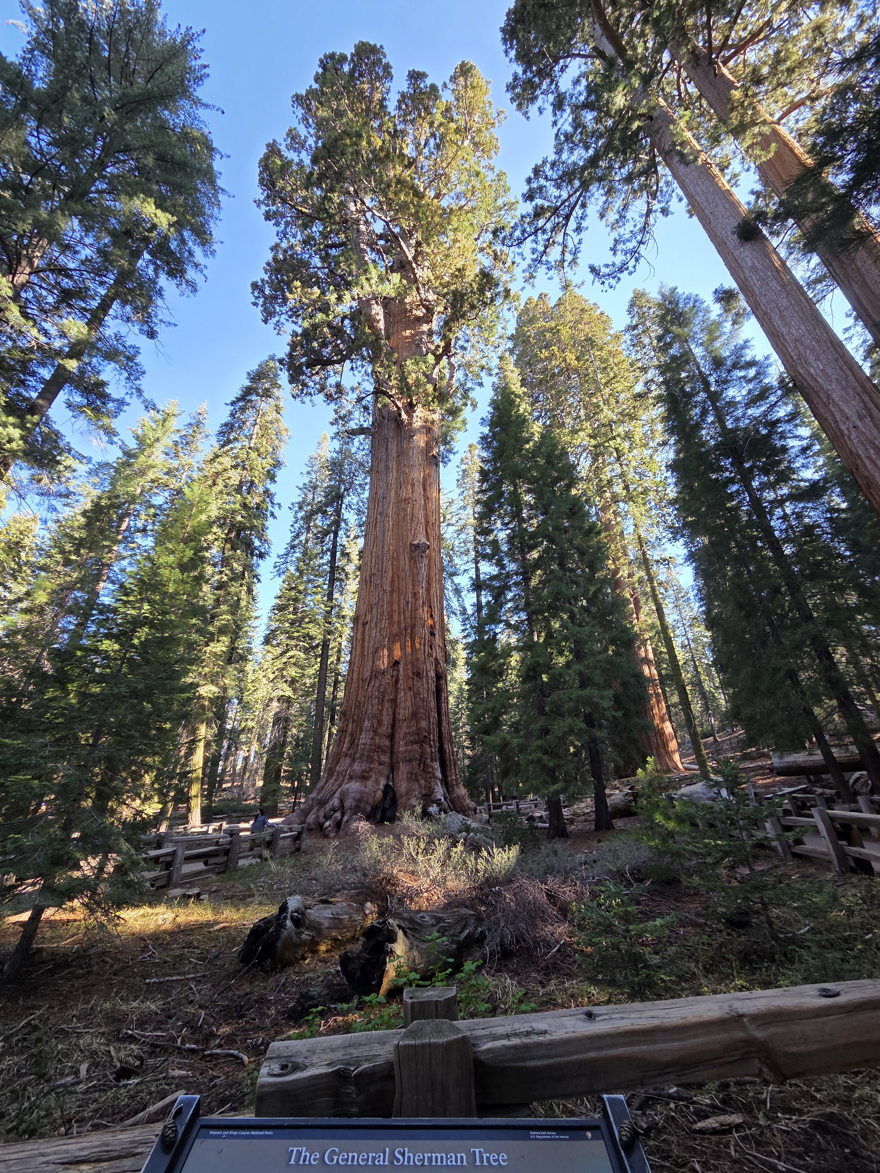 Sequoia & Kings Canyon