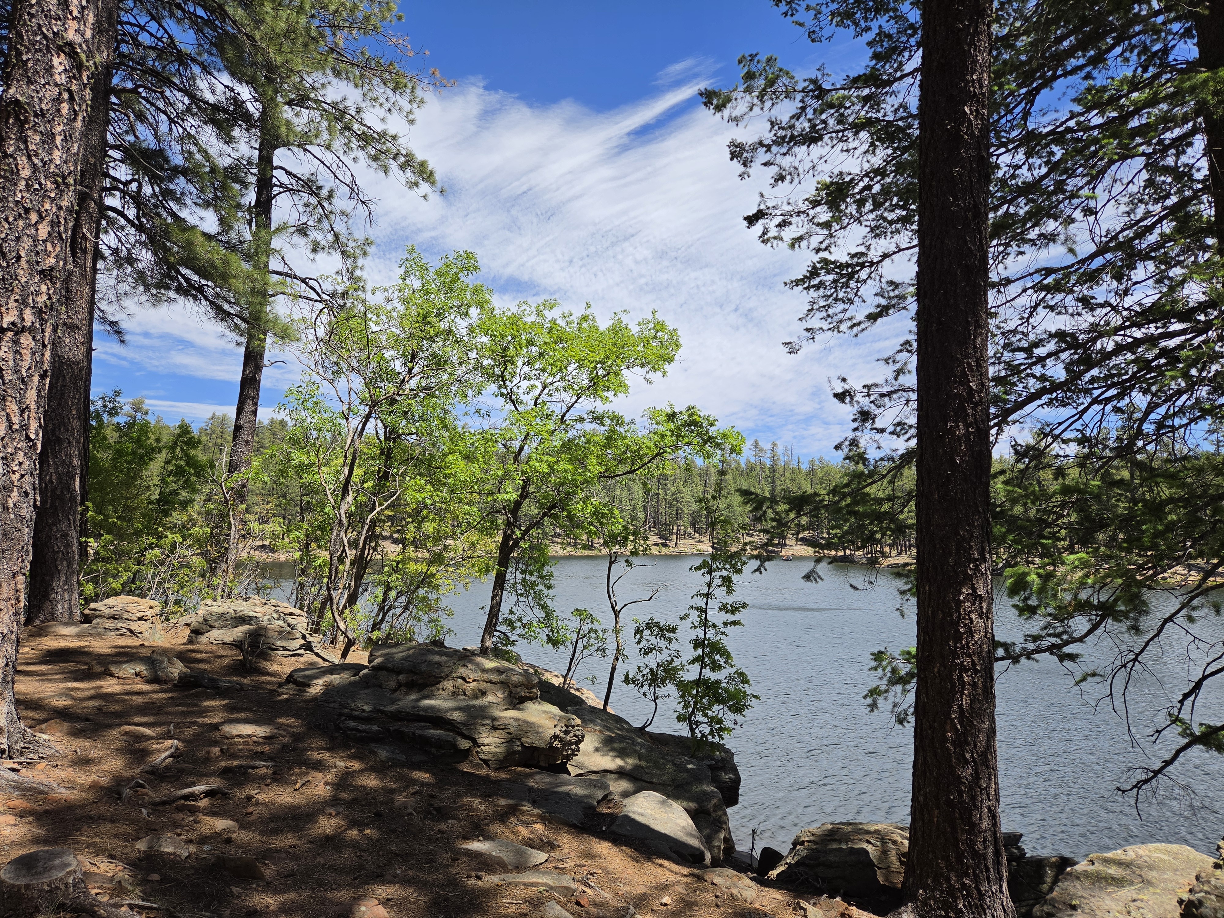Short trips: Woods Canyon Lake, again