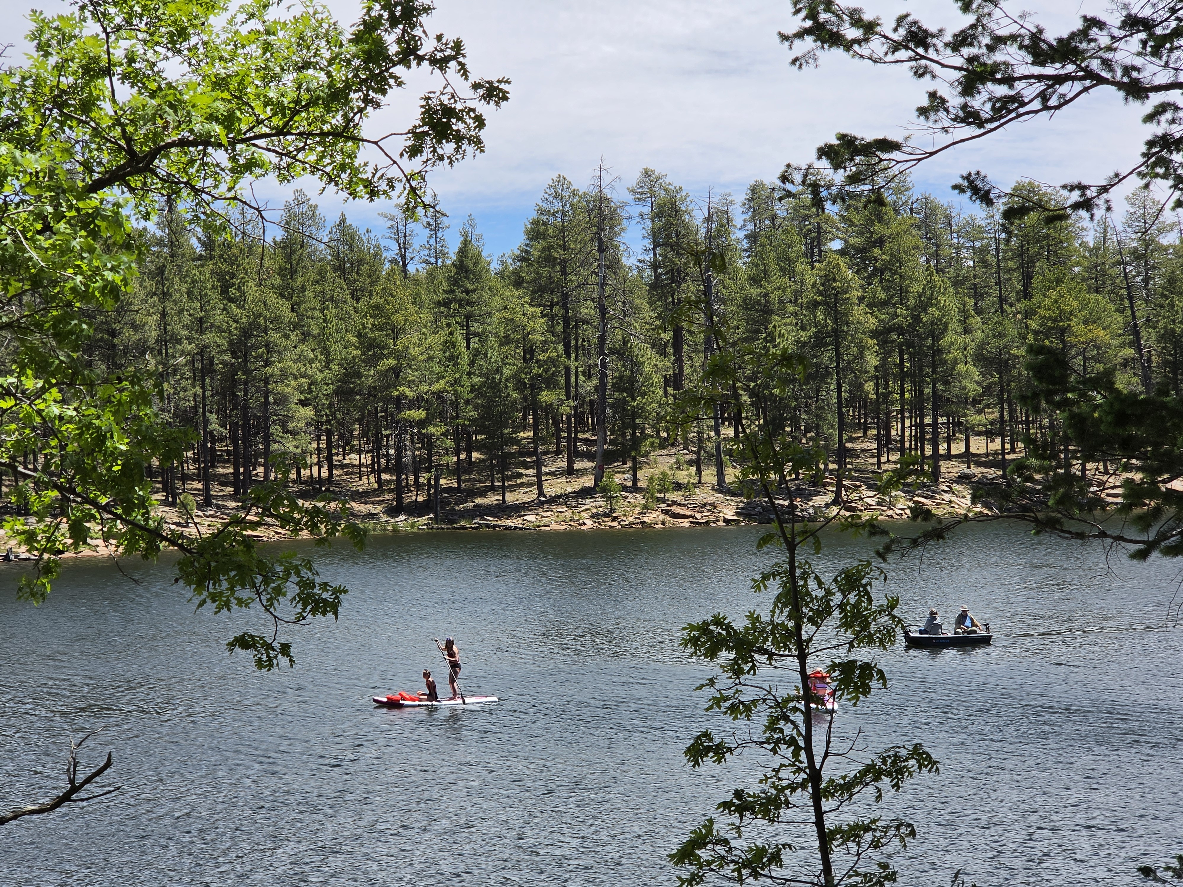 A paddleboarder standing on the calm lake with a canoe nearby, framed by oak branches