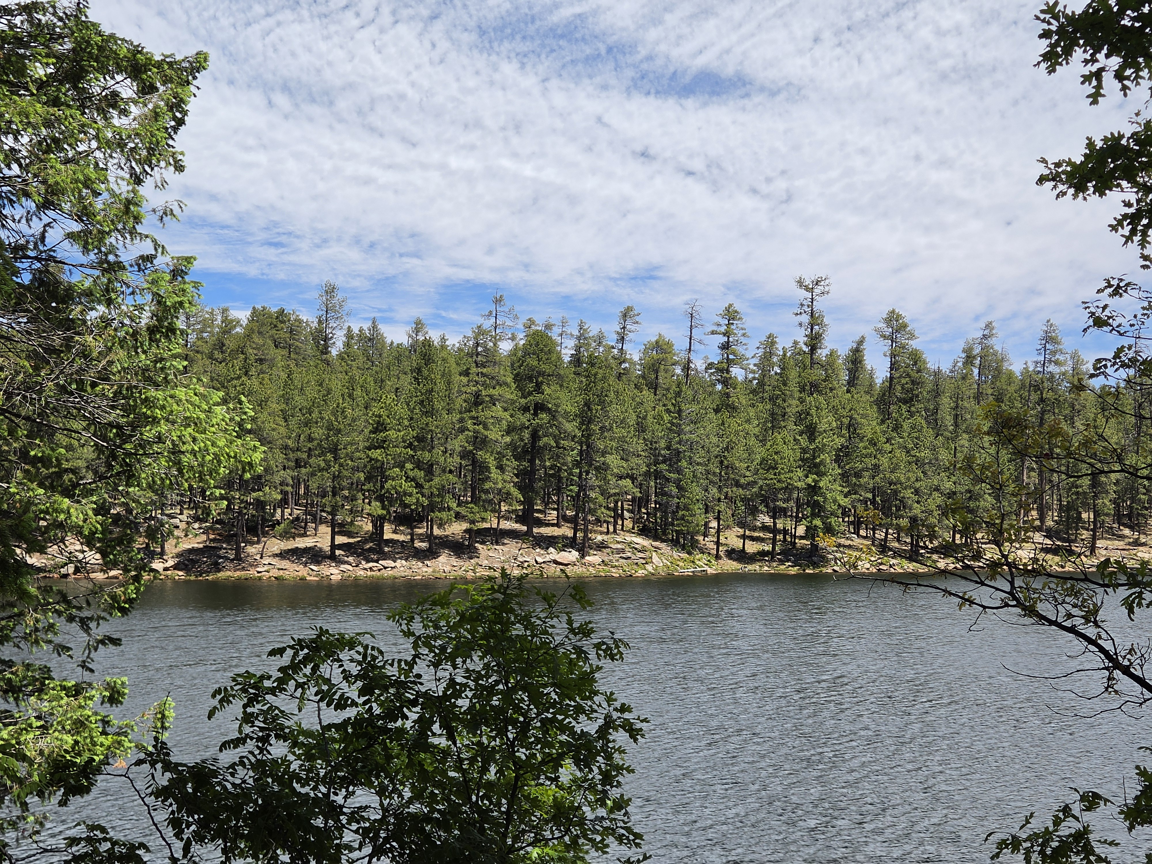 A calm stretch of the lake with a low pine-covered shore and a mackerel sky