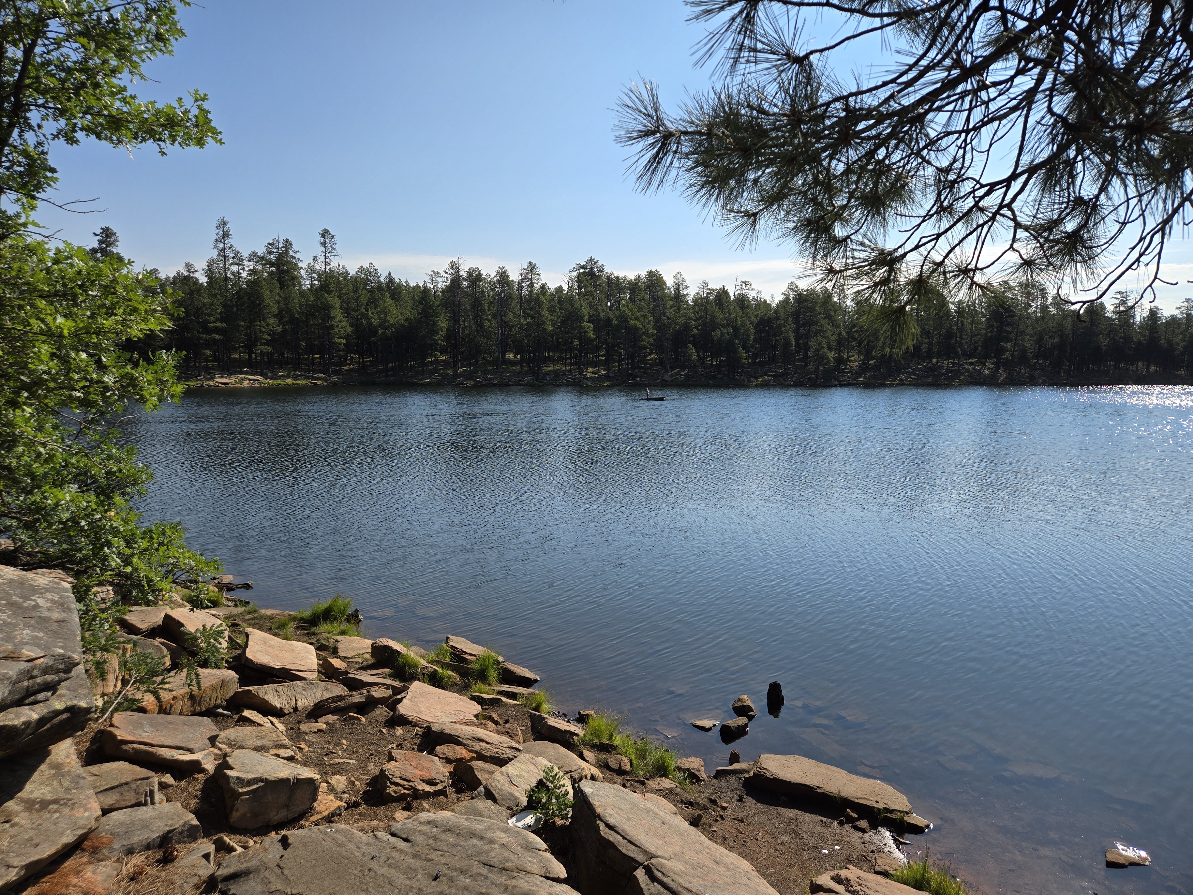 Short trips: Woods Canyon Lake