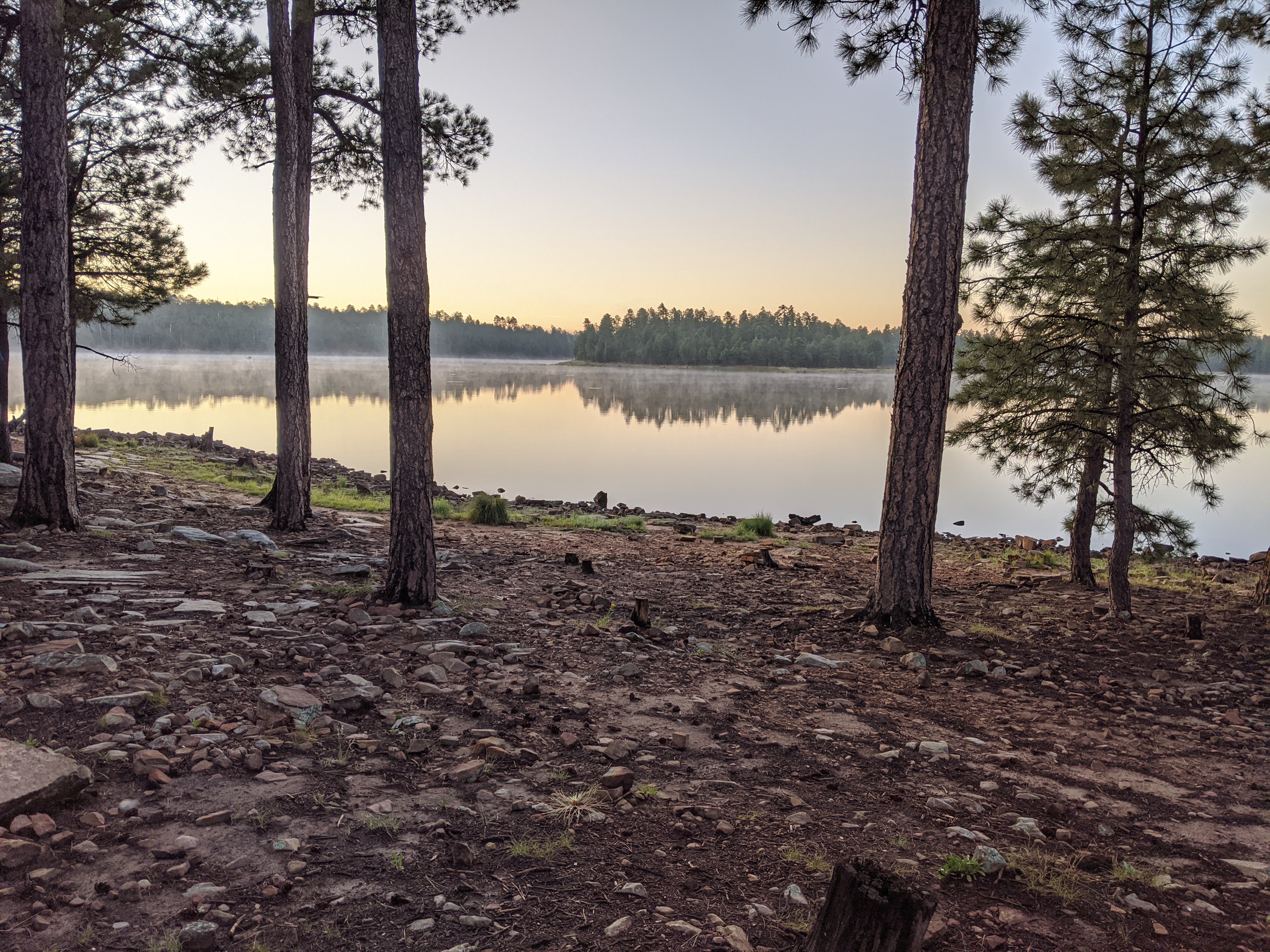 Dawn over Woods Canyon Lake — mist on the water, pines silhouetted on both shores