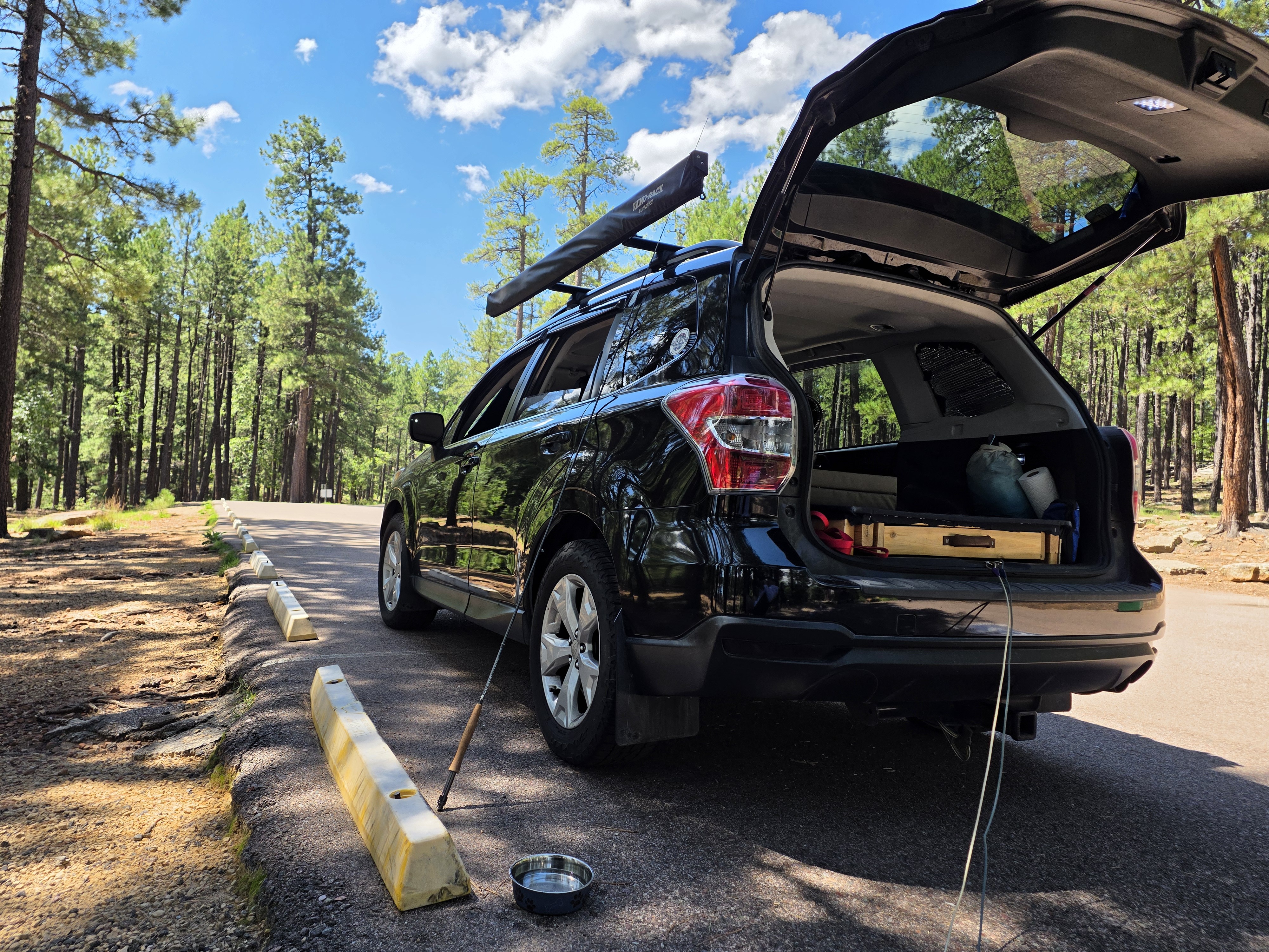 The Forester parked along the tree line with the tailgate up, camper drawers open, fly rod rigged and leaning on the bumper
