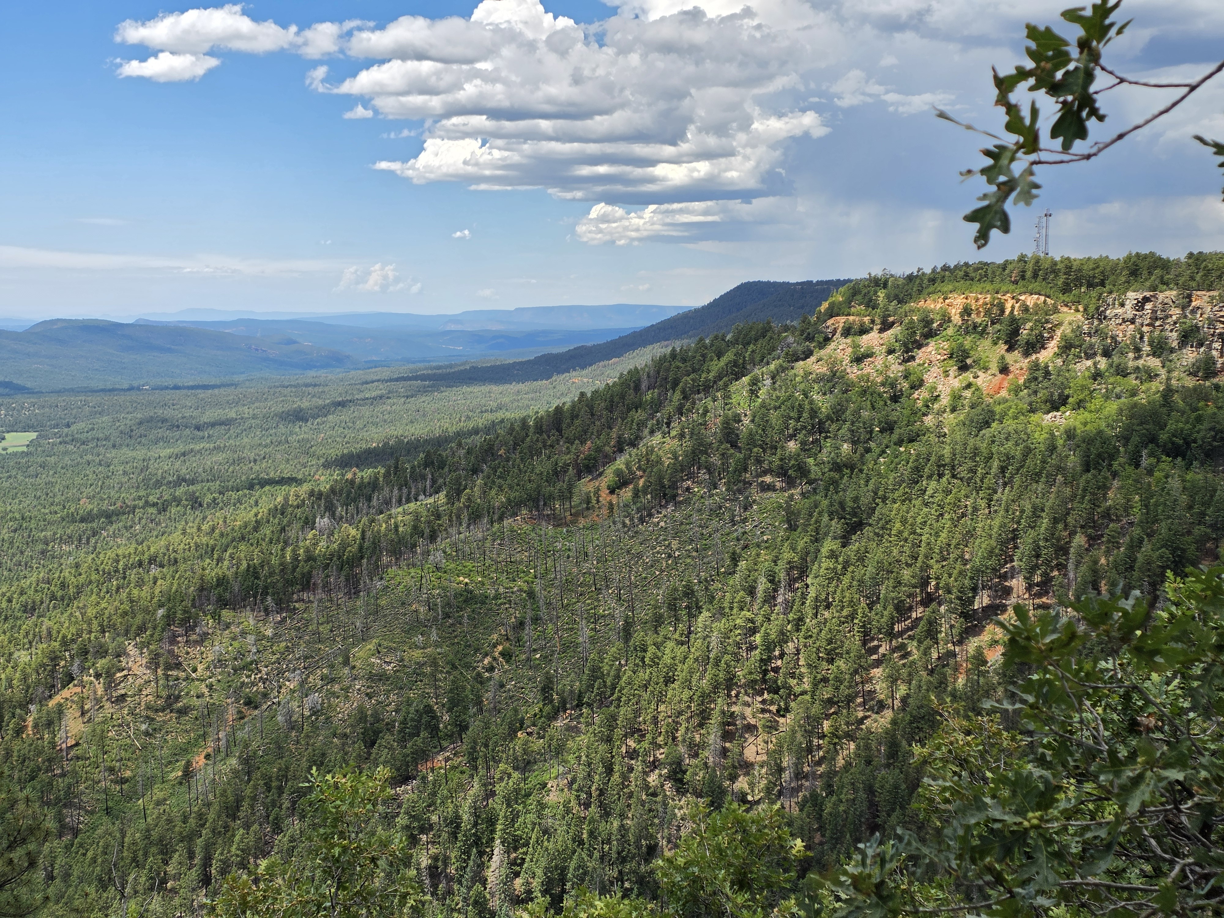 A monsoon rain shaft pouring out of a heavy cloud onto the rim in the distance, blue sky off to the left